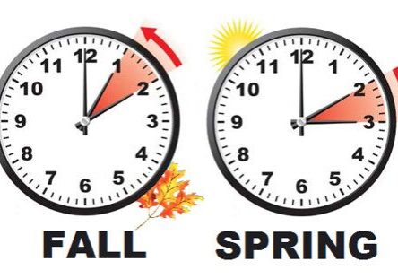 25000493314_fee54f62d6_e