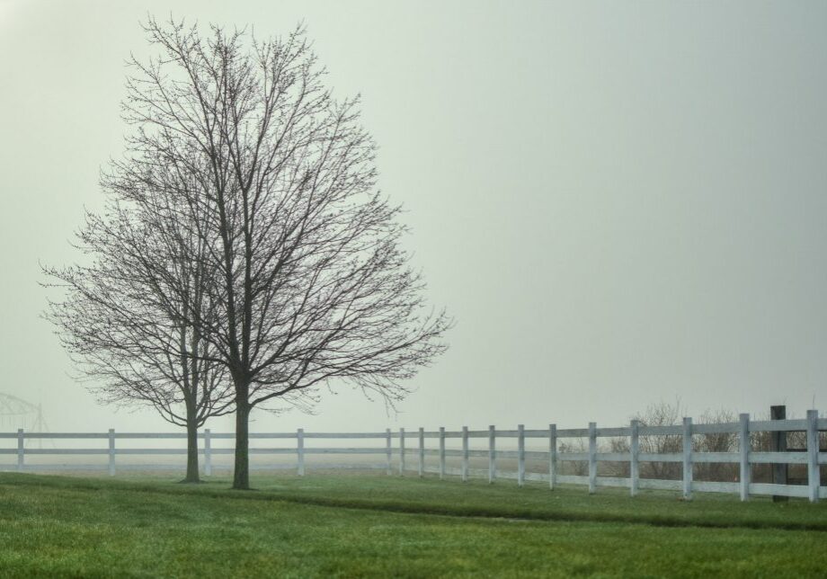 33704104352_1ede668886_k-1024x644