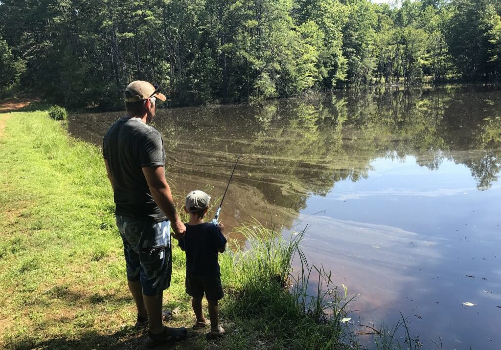 37529441976_fc241f653c_k-1024x768