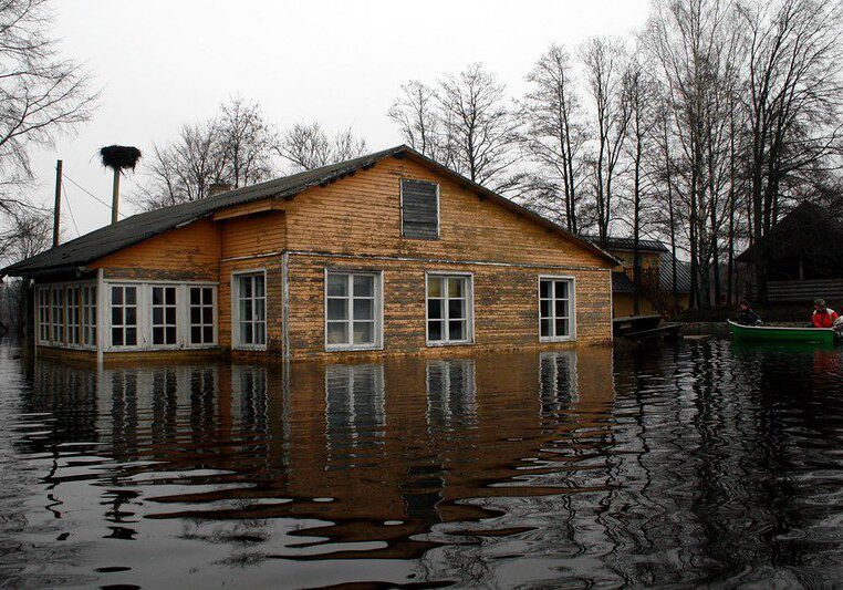 5171596703_4157cae7ae_c