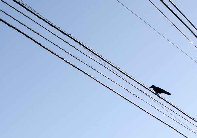 5892497953_b1e6736f72_o