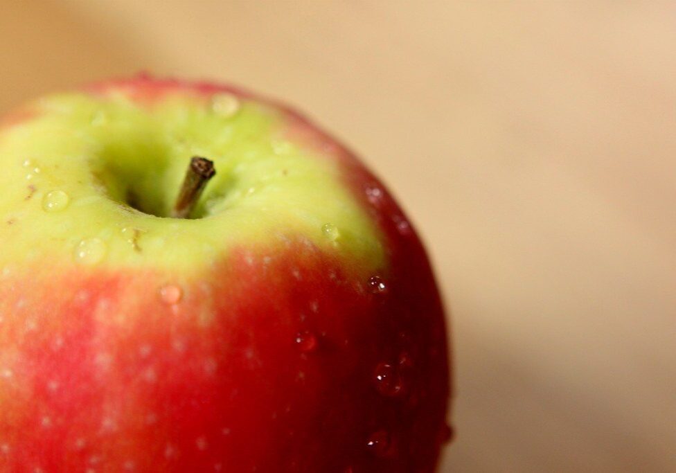 5973822039_65db24ab08_b-1024x683