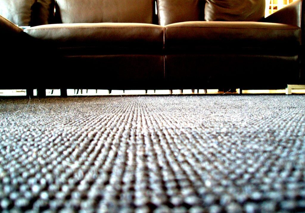 6711852_9ab12df32d_b-1024x768