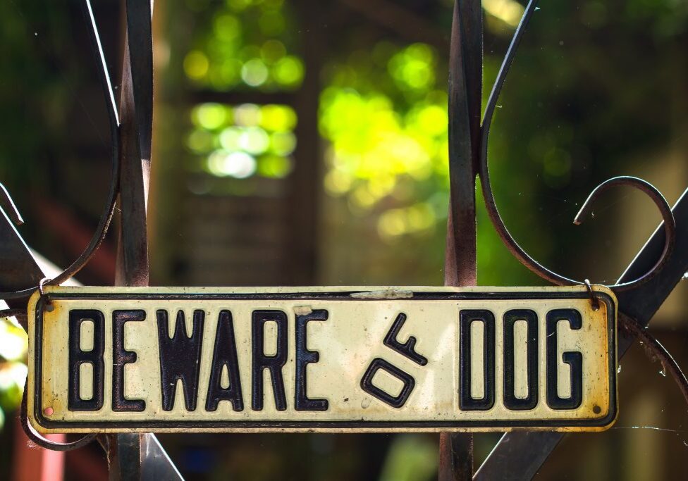 7554396890_c171599489_k-1024x683